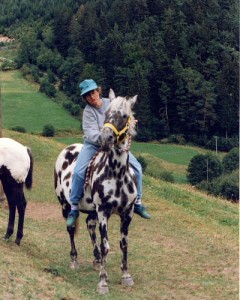 Appaloosa américain