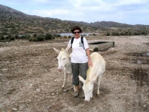 ASINARA