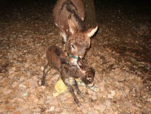 Naissance de QUANDY